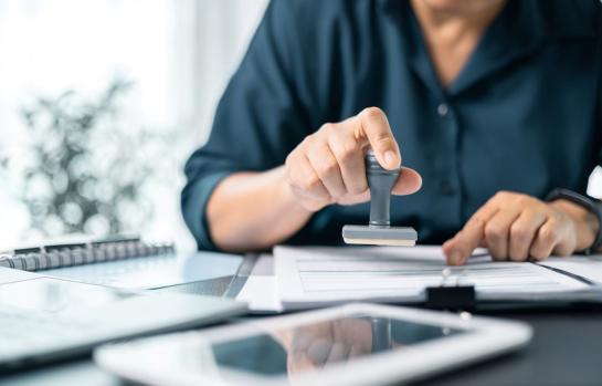 Funcionarios interinos