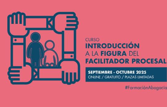 INTRODUCCIÓN A LA FIGURA DEL FACILITADOR PROCESAL