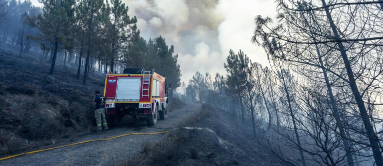 Comisión para seguimiento de catástrofes naturales de Unión Profesional_img