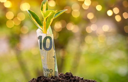 Desarrollo sostenible FEDES_img