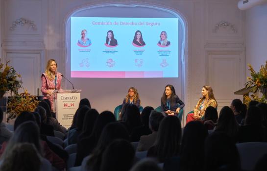 Foto Comisión Seguros WLW_img