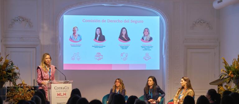 Foto Comisión Seguros WLW_img