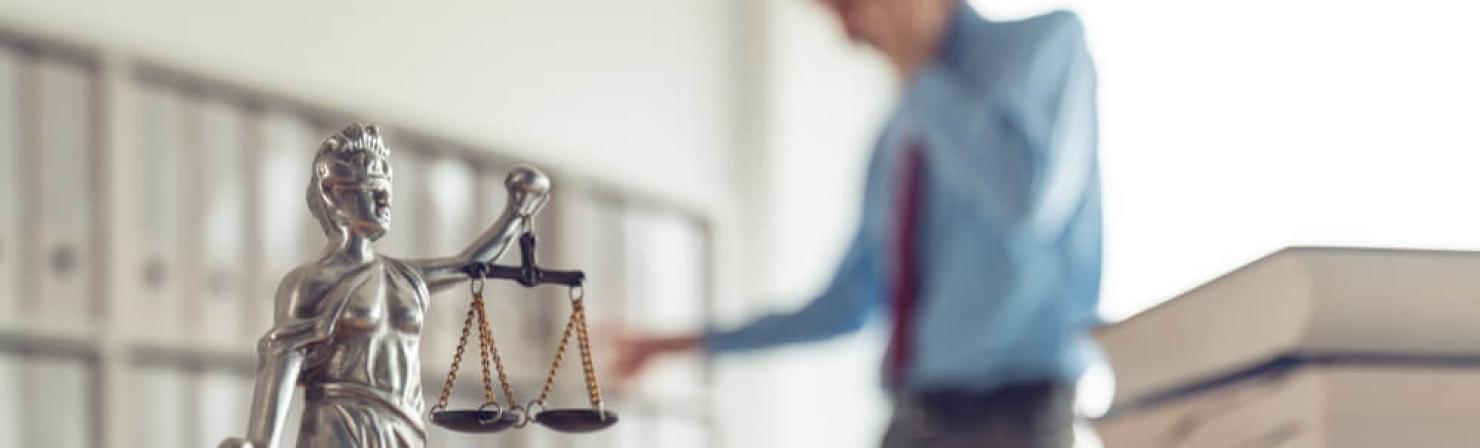 Certificado primera colegiación_img