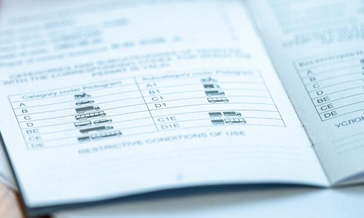 Sentencia sobre la conducción de vehículo sin puntos en el carnet_img