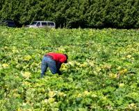 Orden GECCO 2026_img