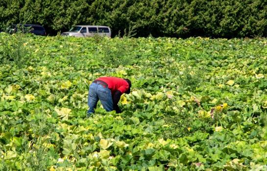 Orden GECCO 2026_img