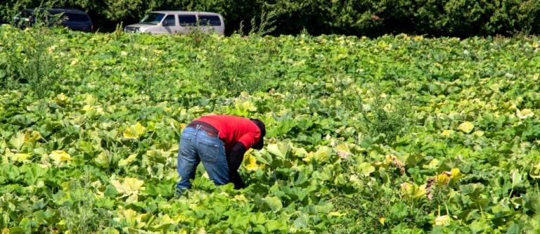 Orden GECCO 2026_img