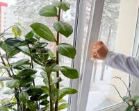 Registro de marca en movimiento sobre una ventana_img