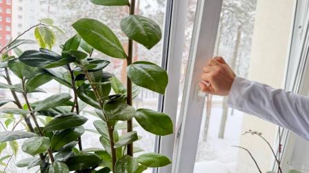 Registro de marca en movimiento sobre una ventana_img