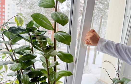 Registro de marca en movimiento sobre una ventana_img