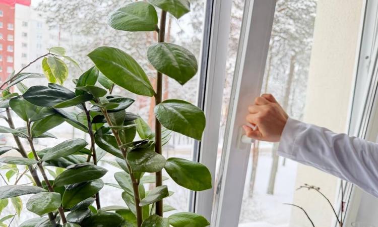 Registro de marca en movimiento sobre una ventana_img