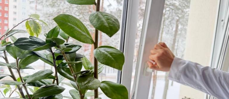 Registro de marca en movimiento sobre una ventana_img