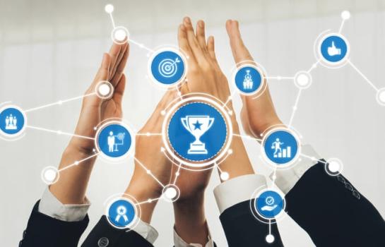 Reconocimiento de Bird&Bird_img