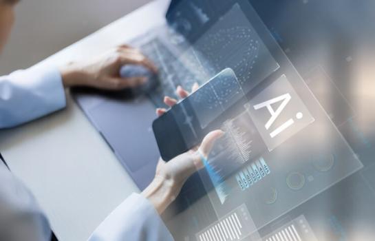 Artículo 50 RIA_img