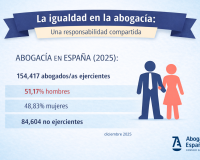 Infografía Igualdad de la Abogacía_img