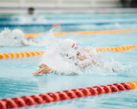 Congreso CE e Investigación Olímpica CEU_img