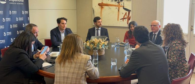 Reunión Abogacía-Ministerio para la regularización_img