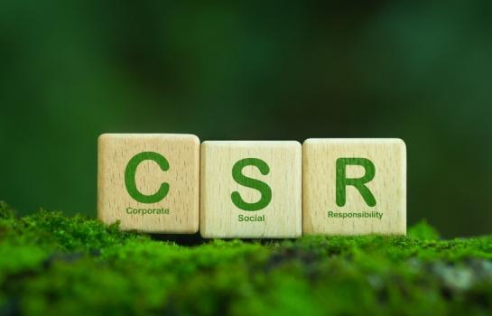 Responsabilidad Social Empresarial y su reactivación_img