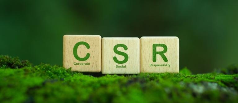 Reactivación del Co...