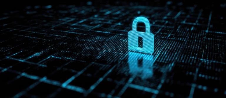 Declaración institucional sobre la privacidad y el RGPD_img