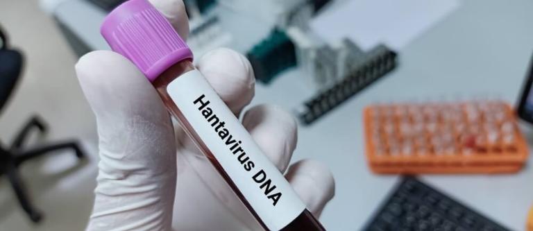 Emergencia sanitaria hantavirus_img