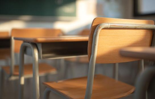 Despido de docentes y su revocación_img