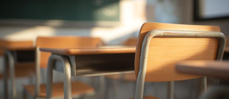 Despido de docentes y su revocación_img