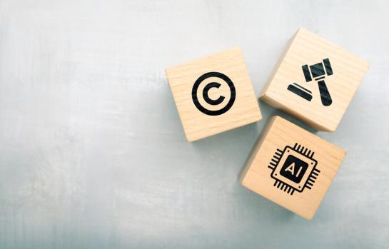 Derechos de autor y piratería en la UE_img