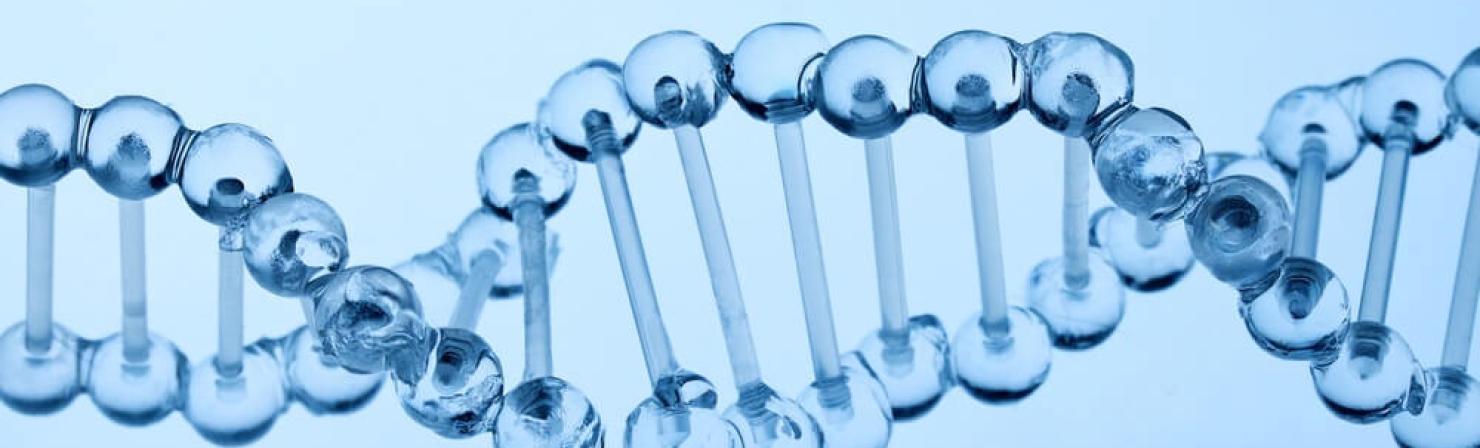 Muestras biológicas y ADN_img