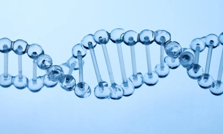 Muestras biológicas y ADN_img