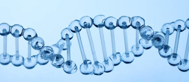 Muestras biológicas y ADN_img