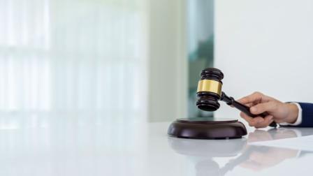 Decision de la ley de amnistía TJUE_img