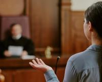 Proceso judicial y tutela judicial efectiva_img