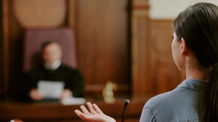 Proceso judicial y tutela judicial efectiva_img