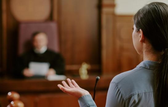 Proceso judicial y tutela judicial efectiva_img