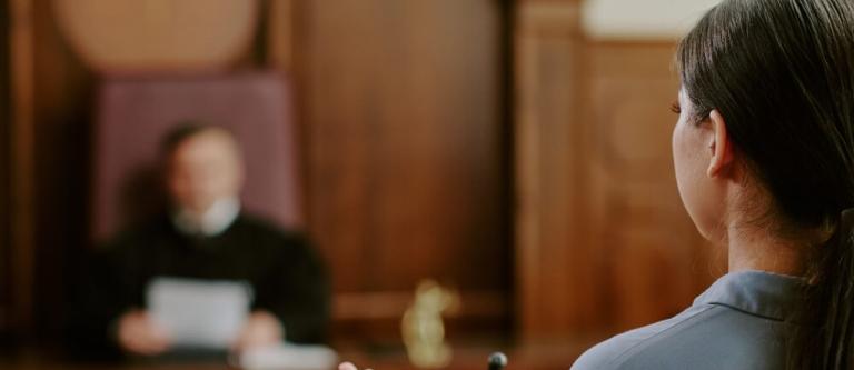 Proceso judicial y tutela judicial efectiva_img