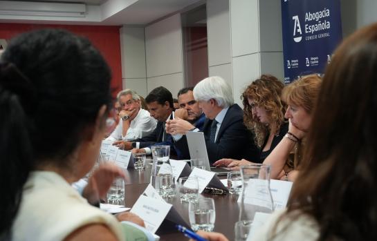 Reunión sobre la pasarela al RETA de mutualistas por el CGAE_img