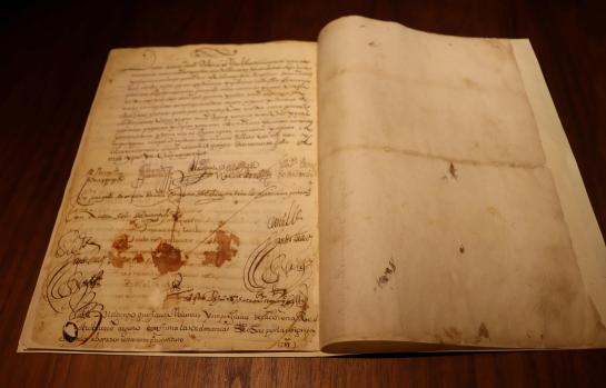 Real Provisión otorgada por el rey Felipe II el 15 de julio de 1596_img