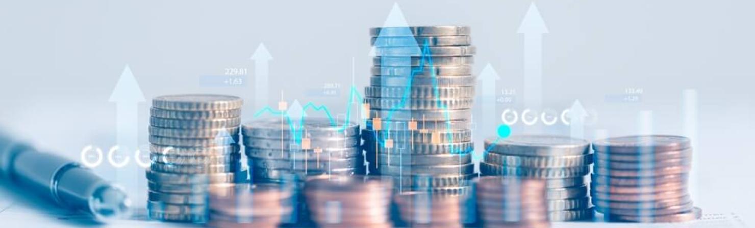 Sistema Fiscal FEAC_img