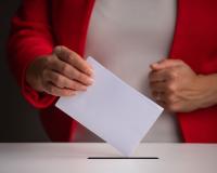 Suspensión del censo electoral de los nacionalizados por la ley de nietos_img