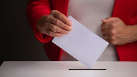 Suspensión del censo electoral de los nacionalizados por la ley de nietos_img